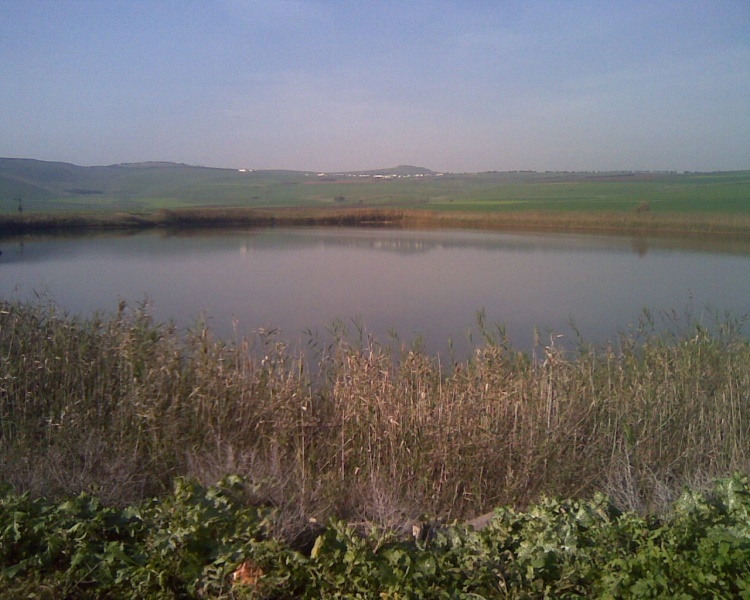 קובץ:המאגר בהזורעים.jpg