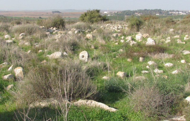 קובץ:ח' שמסניאת.JPG