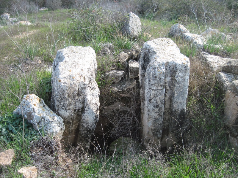 קובץ:חוה ביש.JPG