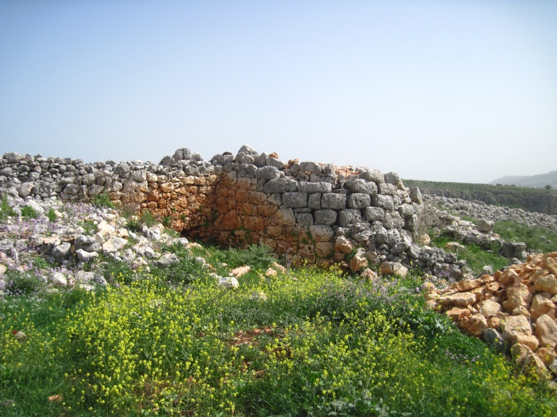 קובץ:חומהניתאי.JPG