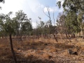 תמונה ממוזערת לגרסה מתאריך 20:31, 2 בנובמבר 2019