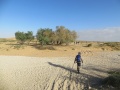 תמונה ממוזערת לגרסה מתאריך 18:54, 1 ביוני 2015