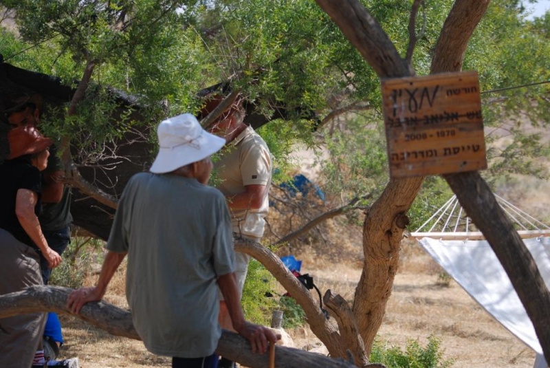 קובץ:חורשת מעין.jpg