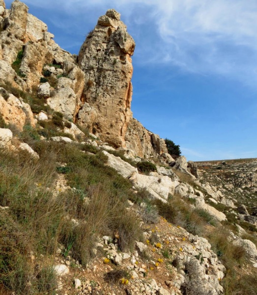 קובץ:חלמוניות בולדר אנכי 1 1.jpg