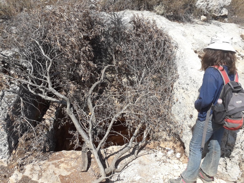 קובץ:חציבהשקבא.jpg