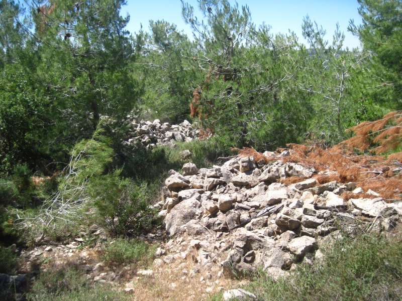 קובץ:חרבהקריתענבסים.JPG