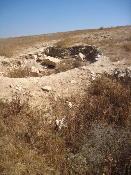 קובץ:חרבהשקמה.JPG