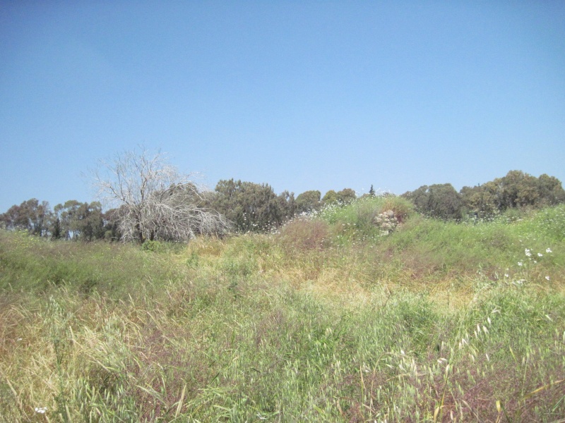 קובץ:חרבתאלחן.JPG