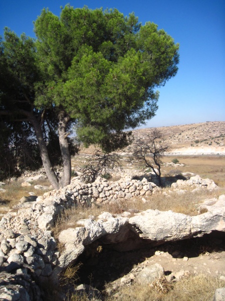 קובץ:חרבתארסם.JPG