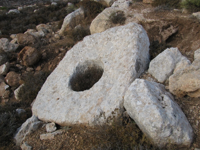 קובץ:חרבת א-זית (7).JPG