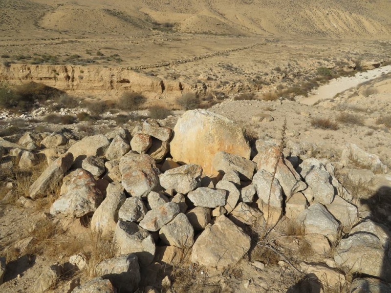 קובץ:טומולוססכרים.jpg