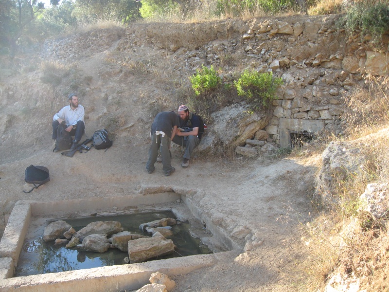 קובץ:טיול מאריאל לכפר תפוח (1).JPG