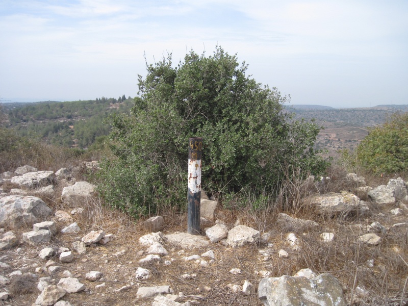 קובץ:טריגסנסן.JPG