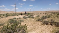 יפרוק תלת-כנפי+חמד המדבר 6.5.23 נ.צין עליון.jpeg
