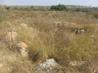 כבשןסידגלאון.jpg