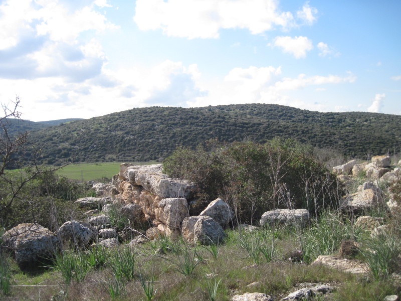 קובץ:כפרביש.JPG