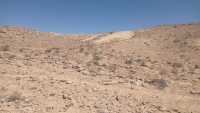 כתם-קרטון אאוקני בור אבן-ארי 29.6.23 ש-3.jpg