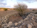 תמונה ממוזערת לגרסה מתאריך 17:35, 22 בספטמבר 2013