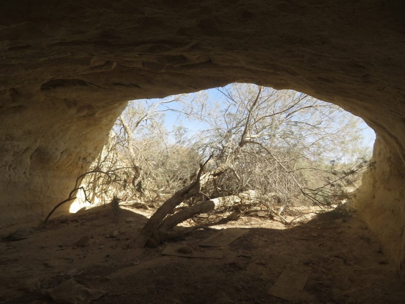 קובץ:מאגורה204.jpg