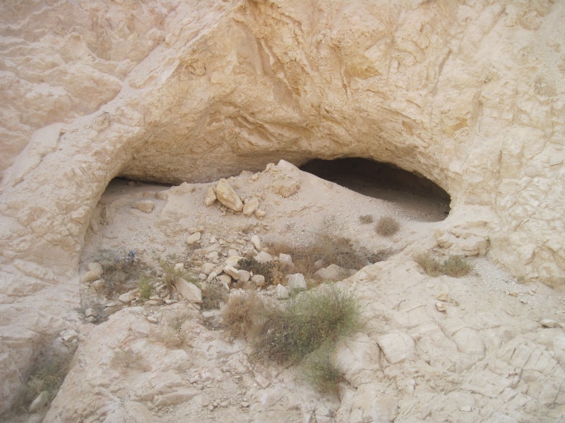 קובץ:מאגרהסתומהסככה.JPG