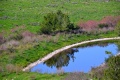 תמונה ממוזערת לגרסה מתאריך 10:38, 1 בפברואר 2015