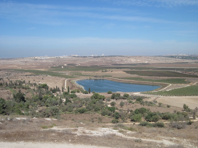 קובץ:מאגרציון.JPG