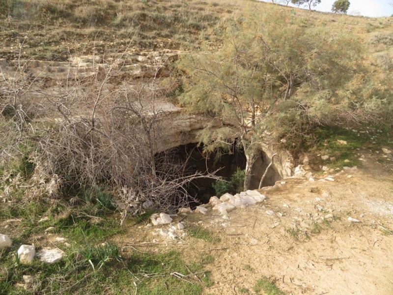 קובץ:מאגרתדודאים.jpg