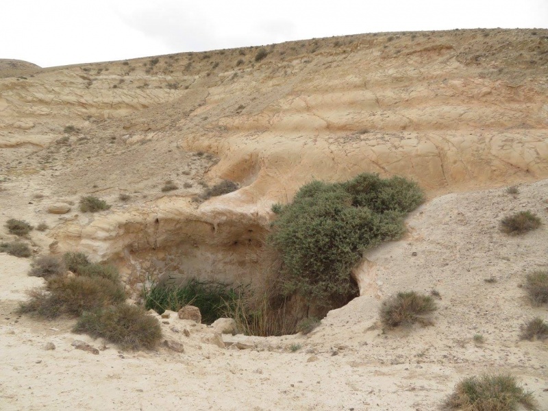 קובץ:מאגרתנחלדימונה.jpg