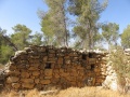 תמונה ממוזערת לגרסה מתאריך 09:08, 21 באוגוסט 2016