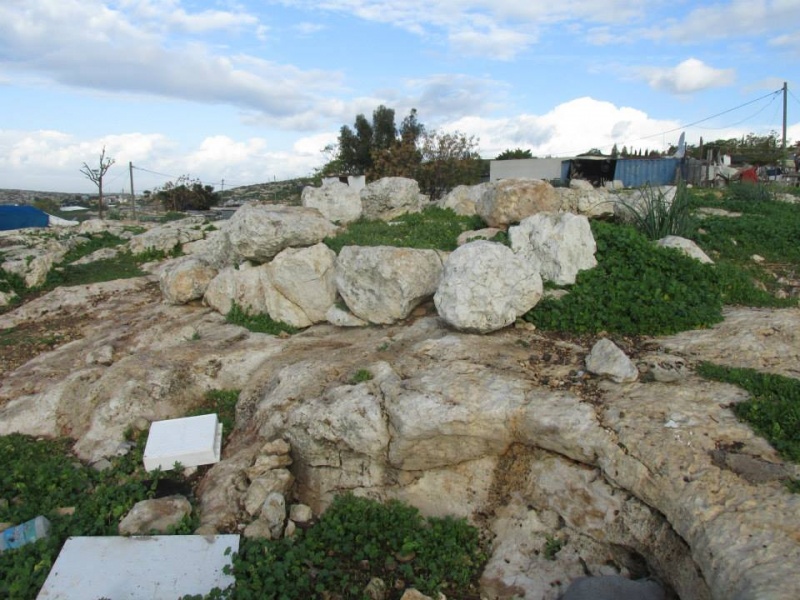 קובץ:מבנהערבים.jpg