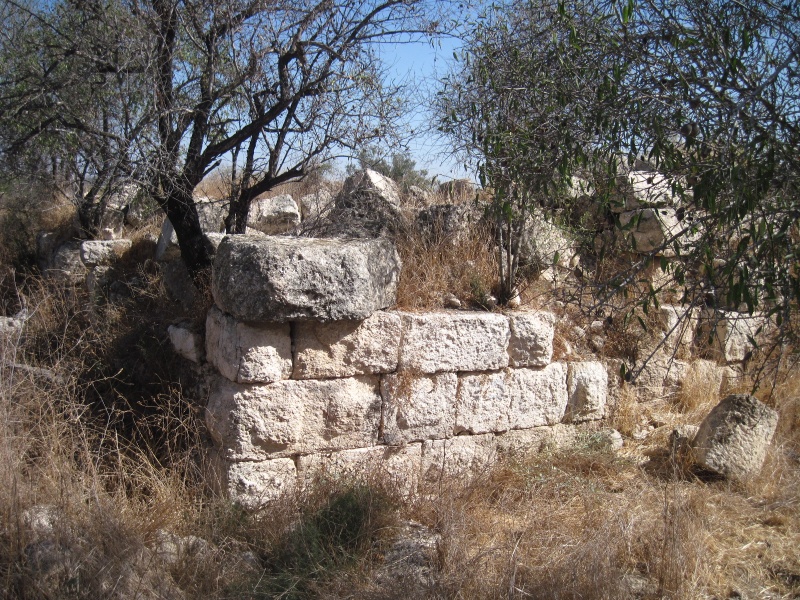 קובץ:מבנה חרבת רגב.JPG