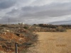 מחוות יישוב הדעת לייטב 006 (Medium).jpg