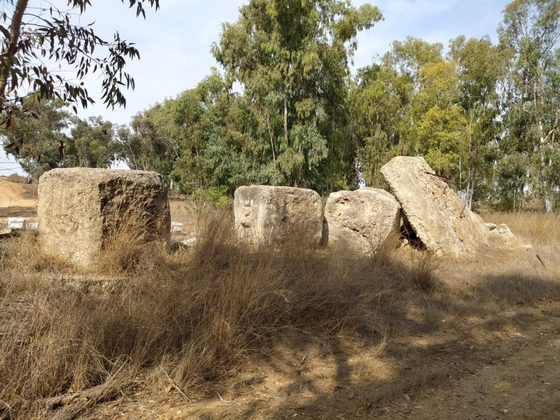 קובץ:מחסםידמרדי.jpg