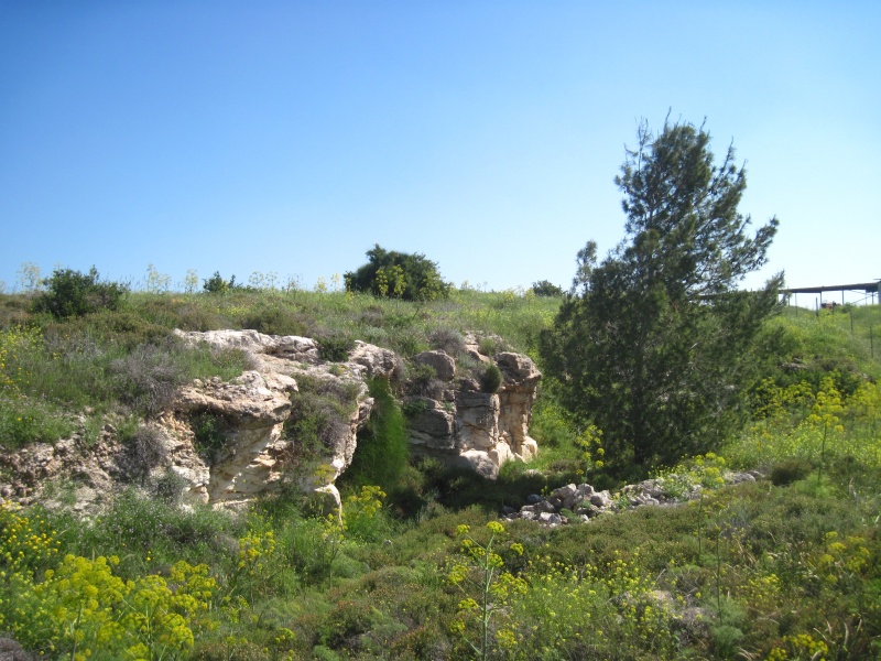 קובץ:מחצבה18לכיש.JPG