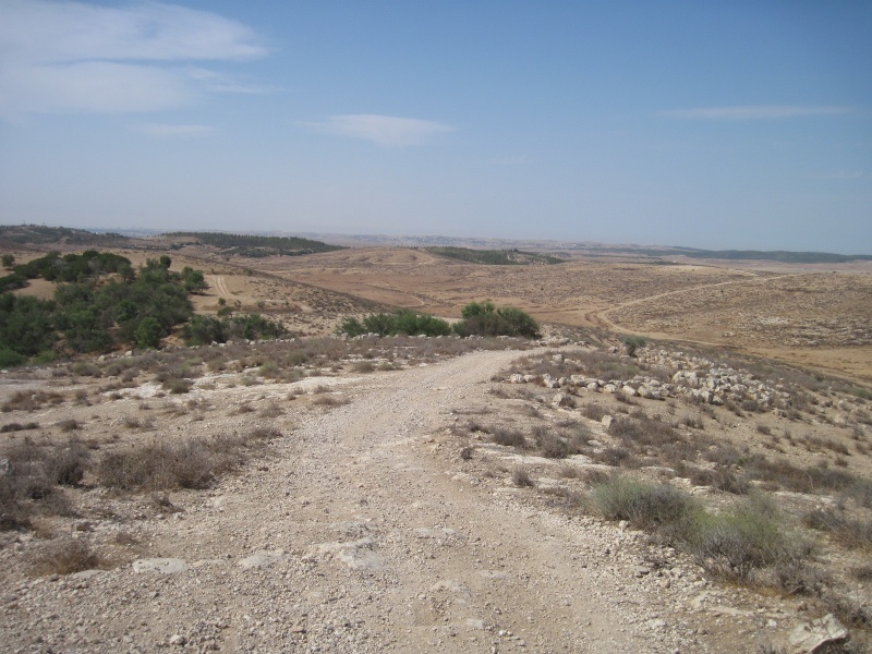 קובץ:מיתרחירן.JPG