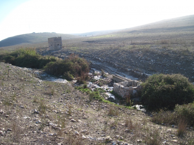 קובץ:מכוןגלעד.JPG