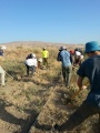 תמונה ממוזערת לגרסה מתאריך 08:26, 30 בדצמבר 2015