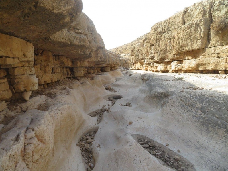 קובץ:מעוקואדיסייף.jpg