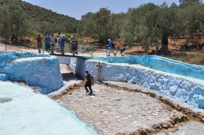 קובץ:מעיינות ממערב לסלפית 160.jpg