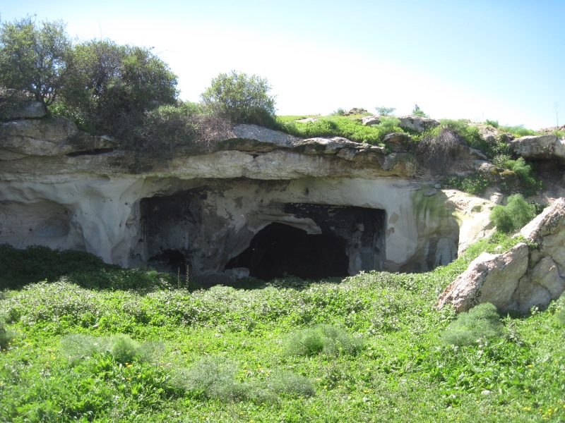 קובץ:מערהאמציה.JPG