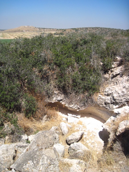 קובץ:מערהותלבורנה.JPG