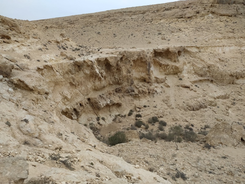 קובץ:מפלמאחזממשי.jpg