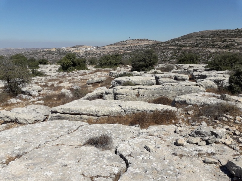 קובץ:מצודתהאריות.jpg