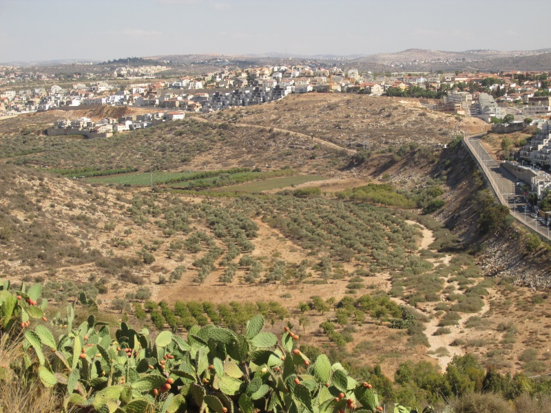 קובץ:מצפהחזי.JPG