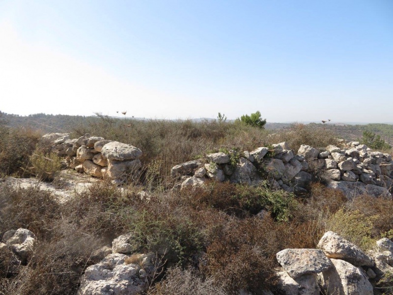 קובץ:מרגאלקומוס.jpg