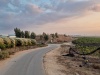 מרחבית-3.jpg