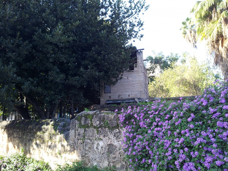 קובץ:משבתפעל.jpg