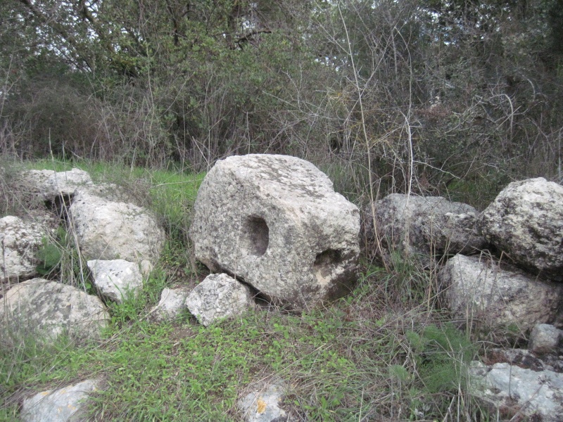 קובץ:משקלתללאשם.JPG