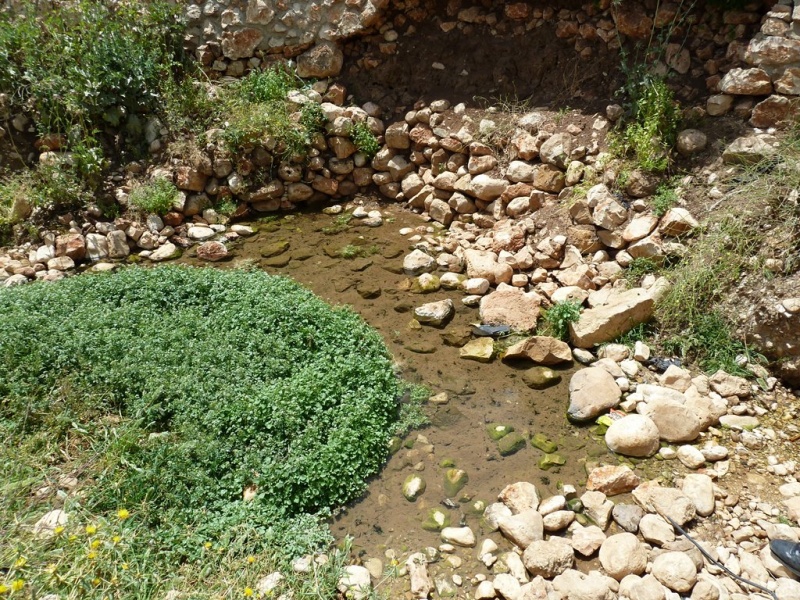 קובץ:נביעות עין מסכה דרום (2).JPG