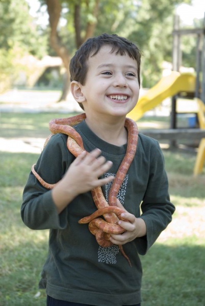 קובץ:נועם עם נחש - פלייאר.jpg